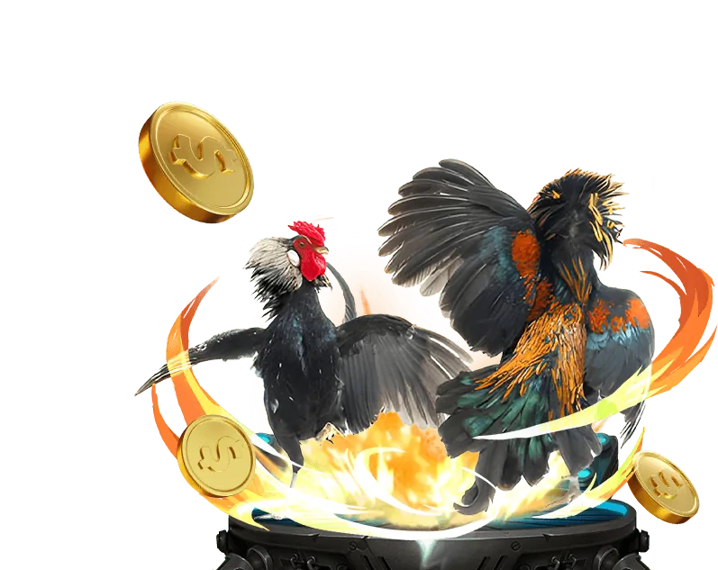 Các loại kèo cược đá gà tại 798 club